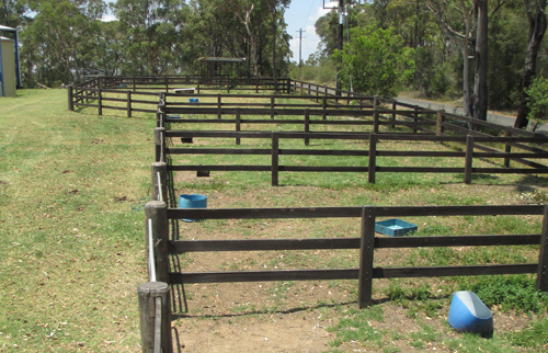 horse yards